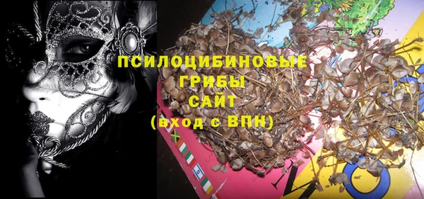 ПСИЛОЦИБИНОВЫЕ ГРИБЫ Покров