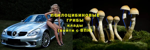 трава Покачи