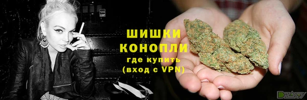 трава Покачи