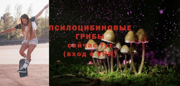 трава Покачи