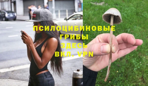 ПСИЛОЦИБИНОВЫЕ ГРИБЫ Покров