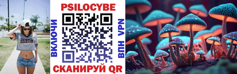 Псилоцибиновые грибы прущие грибы  Торопец 